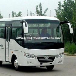 19 Seat Bus (6-8m Passenger Bus)
