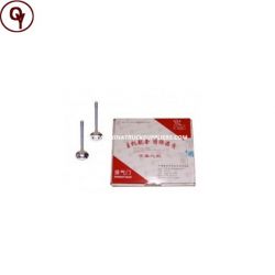 Chinese Marine Diesel Engine Outlet Valve 612600050025