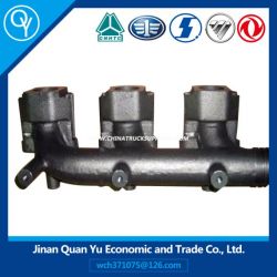 Exhaust Pipe for HOWO Truck Part (VG2600111137)