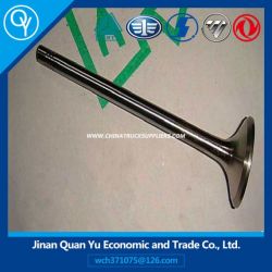 Exhaust Valve for Engine Part (VG1246050022)