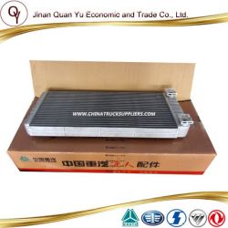 Aluminium Radiator for Sinotruck HOWO Truck Part (WG1664820053)