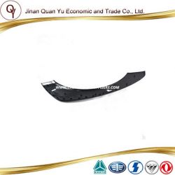 Front Fender for Sinotruck HOWO Truck Part (WG1664230011)