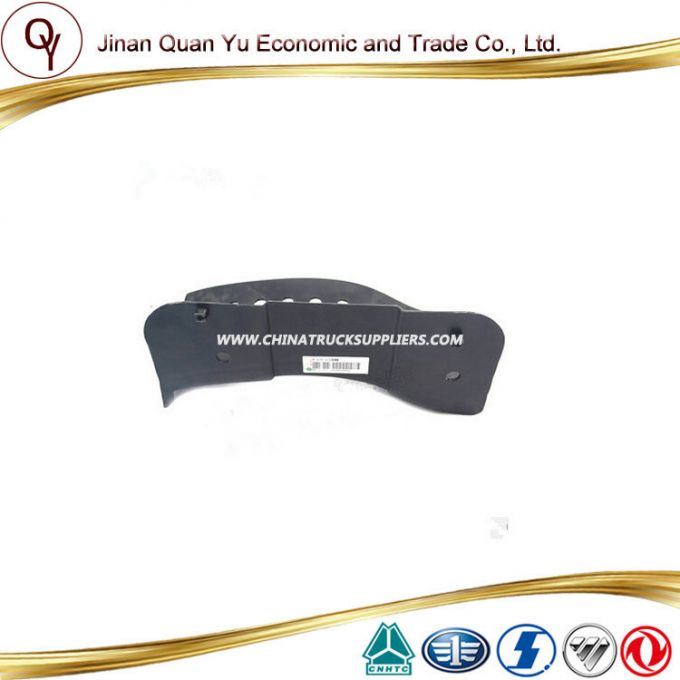 Bumper Decorative Plate for Sinotruck HOWO Truck Part (WG1642931002) 