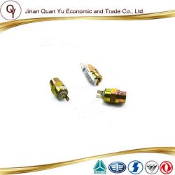 Truck Spare Part Sinotruk HOWO Truck Part Parking Pilot Lamp Switch (WG9100710004)