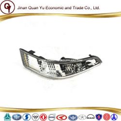 Sinotruk HOWO Truck Parts Front Decorative Lamp Wg9925720024