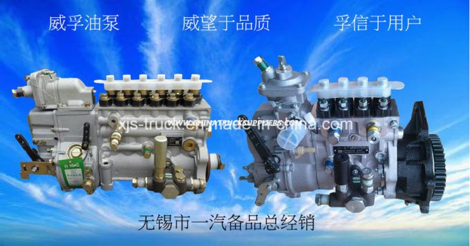 JAC Truck Engine Ca6110 Weifu Injector Pump 