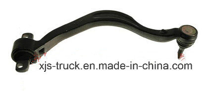 JAC Truck Hem Arm Images 1