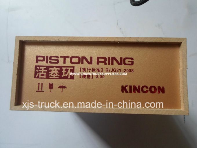 JAC Truck Piston Ring (YZ4108Q-03102A) Images 1