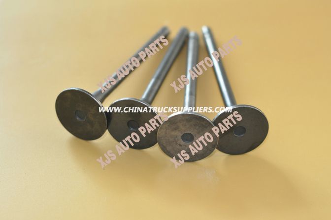 JAC Lj11kaab+76002412 Exhaust Valve 1003011fa Images 1