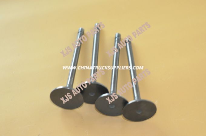JAC Lj11kaab+76002412 Intake Valve 1003012fa Images 1