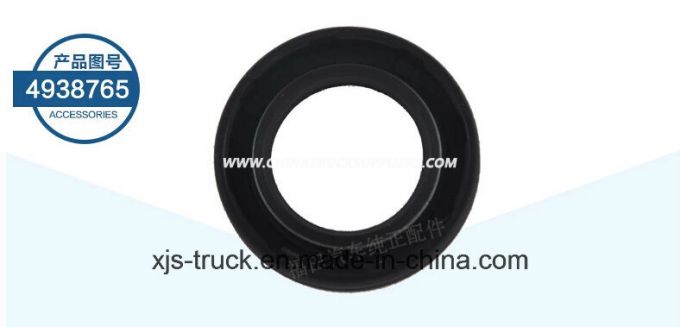 Foton Aumark Truck Cummins Ifs3.8 Engine Seal, Oil (4938765) 