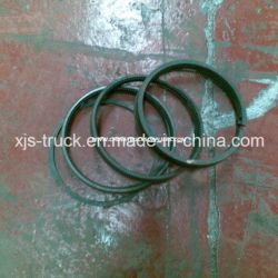 Dongfeng (DFAC DFCV) Truck Piston Ring
