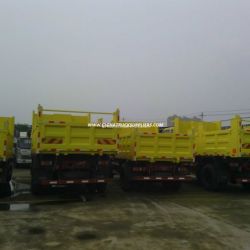 Sinotruk / Cargo Truck (Cdw757)