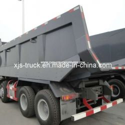 Sinotruk Dumper (ZZ3317N3067W)