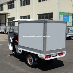Hot Tricycle of 850W 48V Three Wheel Tricycle for Express