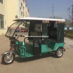 Four Passengers 1000W Three Wheel Electro Tricycle for Sale
