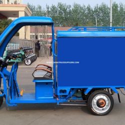 Electric Bik 800W Three Wheel Electro Tricycle for Express