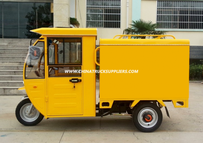 Hot Sale 800W Three Wheel Tricycle with Closed Body 