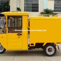 Hot Sale 800W Three Wheel Tricycle with Closed Body