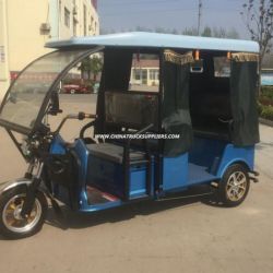 2017 850W Three Wheel Electro Tricycle for Sale