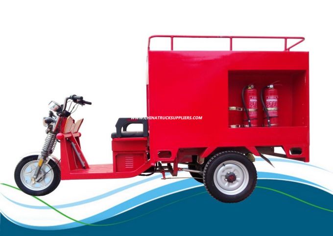 Enviornmental Four Passengers 800W Three Wheel Electro Tricycle 