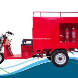 Enviornmental Four Passengers 800W Three Wheel Electro Tricycle