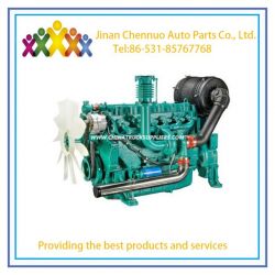 Weichai High Quality Land Generator Wp10/Wp12/W13 Main for South Asia Market
