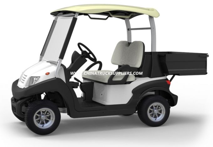 Utility Cart, Golf Cart with Rear Cargo Bed 