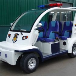 Eg6043p 4 Seats Best Electric Delivery Vehicle