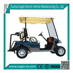 Electric Golf Cart Eg2028t with Rear Seat with Bag