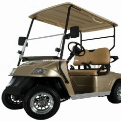 Electric Golf Cart, 2 Seats, CE, Factory Supply, Eg2028k