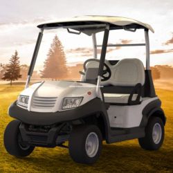 2 Seater Golf Car for Golf Course