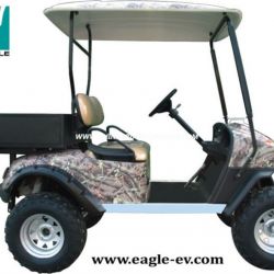 Electric Utility Lifted Car, Eg2020t
