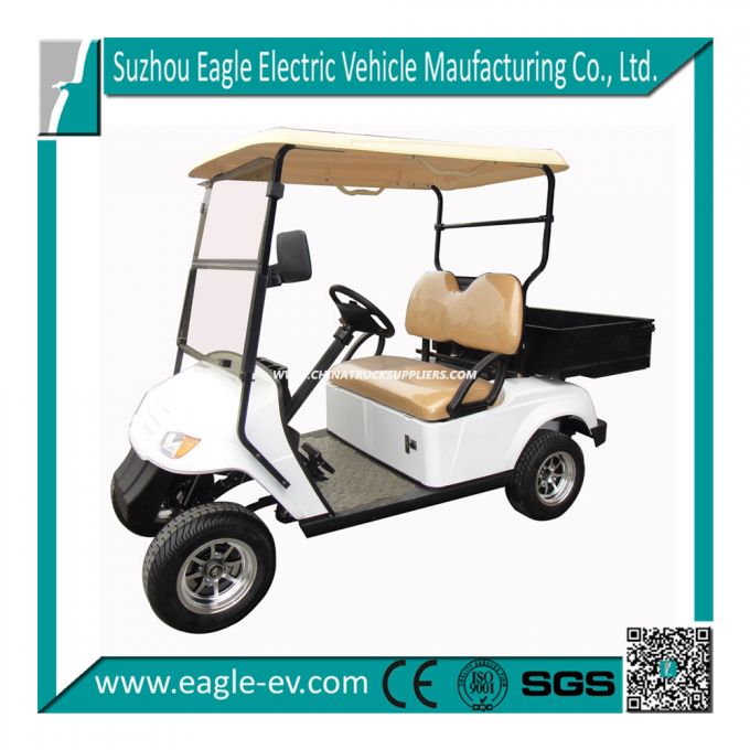 Convenient Used Electric Cars, with Steel Cargo Box, Eg2029h 