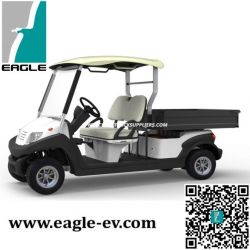 Electric Utility Cart with 2 Seats, 2014 New Model, Eg204ahcx