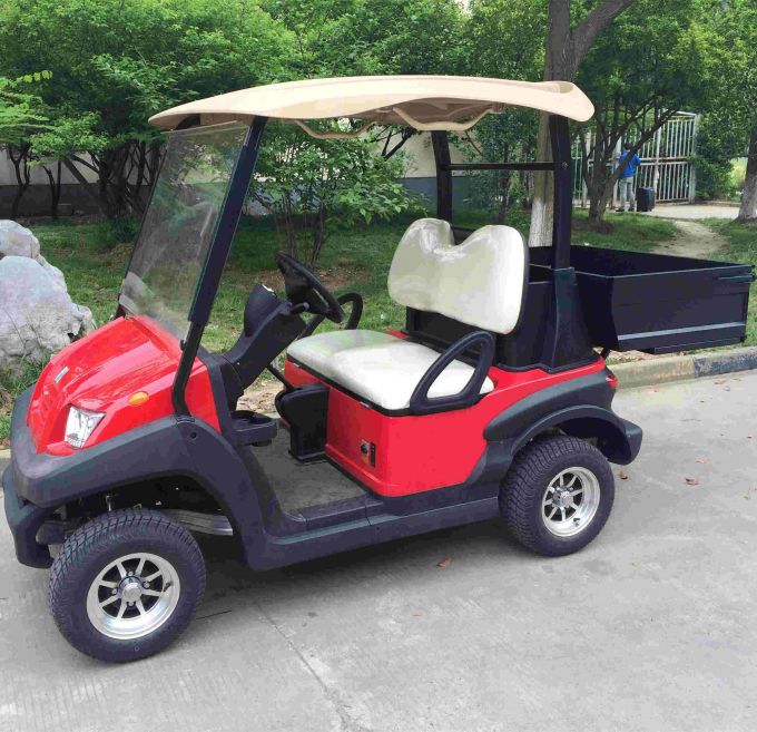 Electric Golf Cart with Cargo Box 