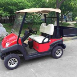 Electric Golf Cart with Cargo Box