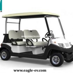 Electric Golf Cart