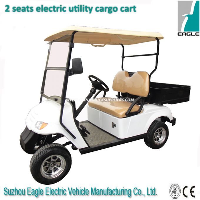 3kw Adult Electric Car Beach Car 4X4 ATV, Eg2029h 