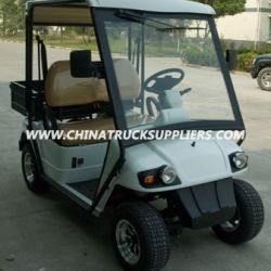 EEC Approved, Street Legal Electric Golf Cart (EG2028HR)