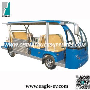 Wheelchair Accessible Electric Vehicle, Eg6158t 