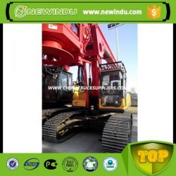 Ce Approved Big Rotary Drilling Rig Sany Sr280 with Price