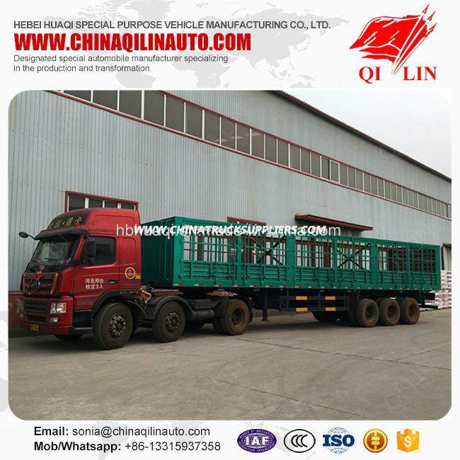 Good Quality Cargo Fence Semi Trailer with Fuwa 13t Axle 