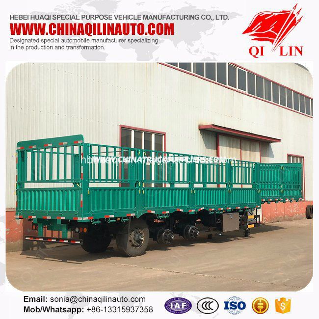 3 Axles Double Tires Cargo Semi Trailer for Hot Cheaper Sale 