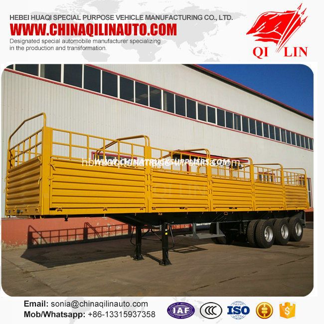 4mm Thickness Plate Cargo Semi Trailer for Hot Sale 