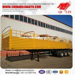 4mm Thickness Plate Cargo Semi Trailer for Hot Sale