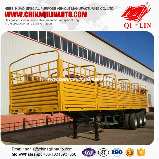 High Quality Transport Goods Cargo Semi Trailer for Cheaper Sale 