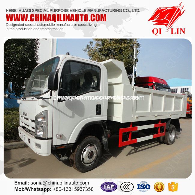 Isuzu 4X2 10 Tons Capacity Mini Rear Dump Tipper Truck 