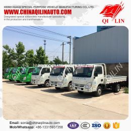 5 Meters Length Side Wall Cargo Truck with 6.00-14 Tire
