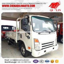 Cheap Price 4X2 Breast Board Cargo Truck with Isuzu Engine